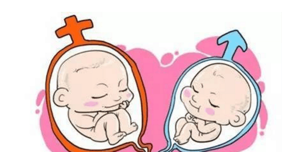 深圳试管婴儿供卵中心,深圳供卵试管婴儿看孕宝国际