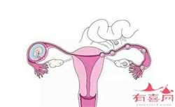 中国单身女性可以用精子库,深圳精子库联系方式