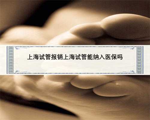 上海试管报销上海试管能纳入医保吗